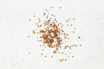 several whole-grain teff seeds close up on gray