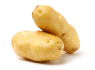 potato on a white background