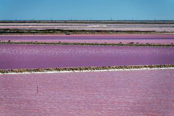 Abstract landscape of pink salt pans at Salin de Giraud saltworks in the Camargue in Provence, South of France - obrazy, fototapety, plakaty