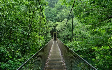 Keuken spatwand met foto Suspension bridge in rainforest © Azahara MarcosDeLeon