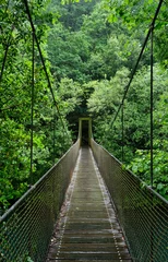 Foto op Canvas Suspension bridge in rainforest © Azahara MarcosDeLeon