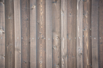 Wooden wall with coarse grained wood and nails in a row, for bacgrounds, concepts and texture