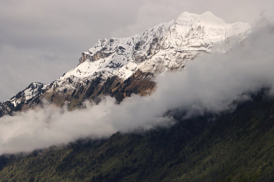 Frischer Neuschnee auf dem Augsmatthorn (Berner Voralpen) im Mai 2021; Blick von Brienz