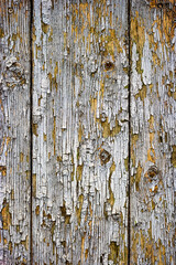 Old planks covered with peeling paint gray color vertical backdrop