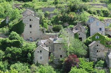 Fototapeta na wymiar Village de Hauterives dans les gorges du Tarn en Lozère France 