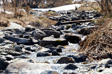 a small mountain stream on a sunny spring day