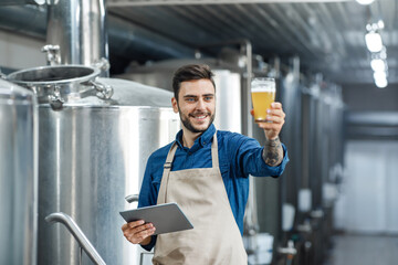 Quality control of alcoholic beverage in production and work in brewery inspecting quality of...