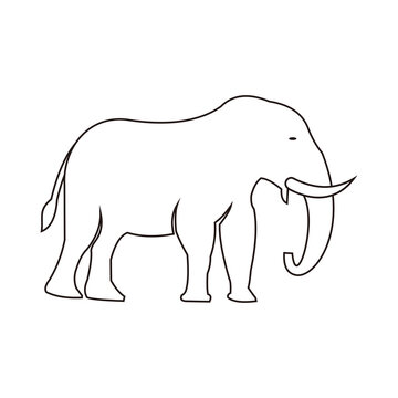 Elephant icon vector illustration design