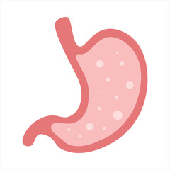 A healthy stomach and microflora. Vector flat cartoon illustration on white background
