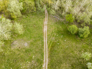 Dirt road among green bushes in spring. Aerial drone view.
