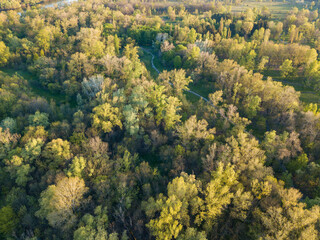 Obraz premium Natural city park in the rays of dawn. Dirt footpaths among the trees. Aerial drone view.