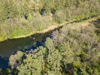 Stream among green trees in spring. Aerial drone view.