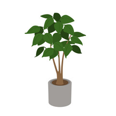 house indoor green leaf plant in a pot vector illustration