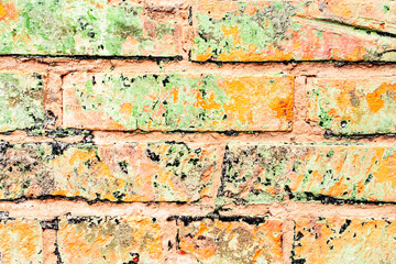 Orange brick wall with white spots. Background of orange bricks