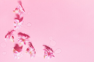 Spring pink hyacinth flowers with water drops as border, top view, copy space. Fresh cosmetic abstract background.