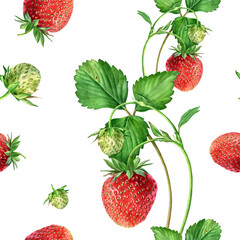 Watercolor seamless strawberry pattern. Strawberry garden, botanical illustration, pattern of bushes and berries. - 437907826
