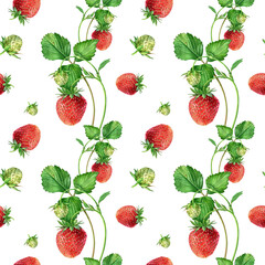 Watercolor seamless strawberry pattern. Strawberry garden, botanical illustration, pattern of bushes and berries. - 437907883