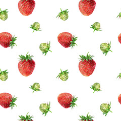Watercolor seamless strawberry pattern. Strawberry garden, botanical illustration, pattern of bushes and berries.
