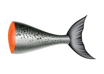 Salmon fish. Part of the carcass isolated on white background. Raw seafood vector illustration. Realistic product of healthy nutrition