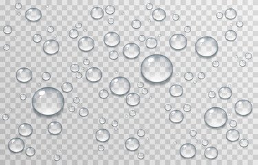 Vector water drops. PNG drops, condensation on the window, on the surface. Realistic drops on an isolated transparent background.