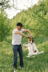 Fototapeta premium Man and dog friendship. Man play Jack Russell Terrier dogs in meadow. Man and Jack Russell Terrier dogs in nature