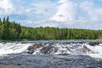 White water river in the forest