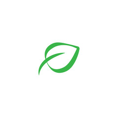 green leaf line icon. eco sign isolated on white. Vector illustration.