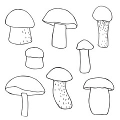 Vector illustration. Doodle drawing of mushrooms.