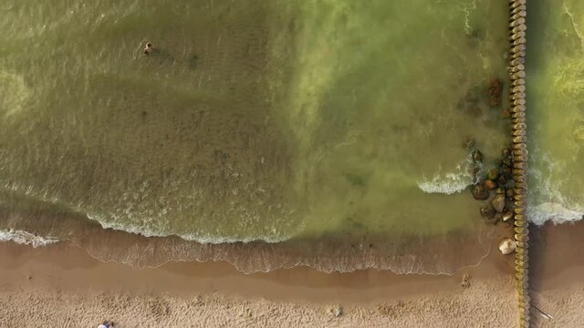 Yellow coniferous pollen in the Baltic Sea, view from a drone