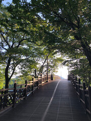 Obraz premium a bridge in the park