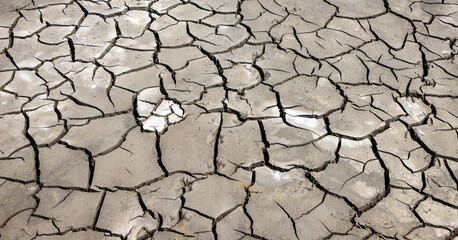 texture of cracked earth - nature background