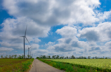 Fototapeta na wymiar wind turbine on a bright sunny day against the backdrop of a cloudy sky
