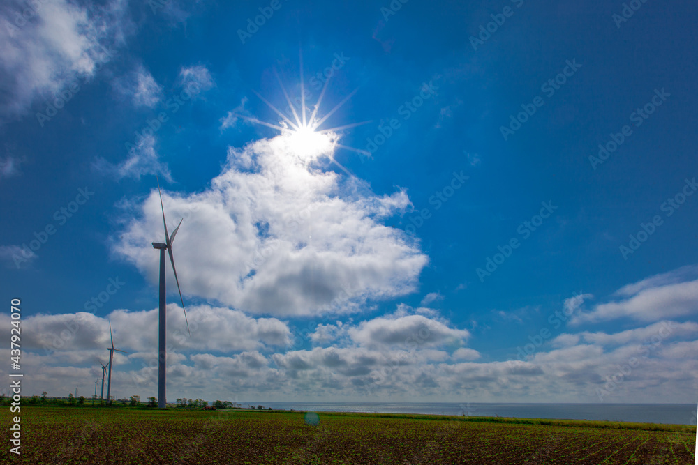 Wall mural wind generator on a bright sunny day by the sea