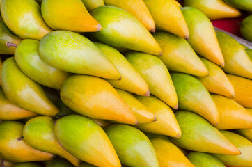 Fresh organic canistel fruit after harvested from the farm
