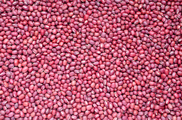 Macro red bean seeds background for healthy or clean food ingredient or agricultural product concept