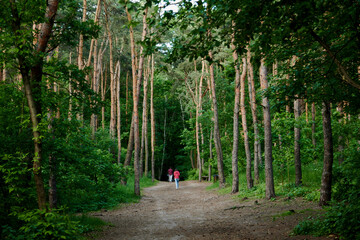 Las Bródnowski © Marek