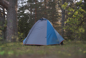A tent in a picturesque summer forest. Hiking theme.