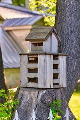 Multi storey bird house on a tree stump in the park