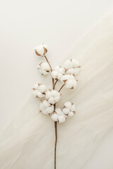 Vertical branch of cotton plant on white tulle fabric - obrazy, fototapety, plakaty