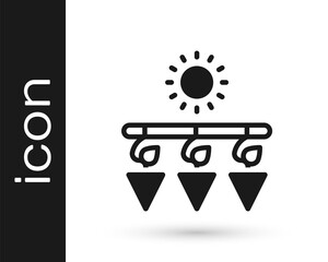 Black Drying grapes icon isolated on white background. Dried grapes. Vector