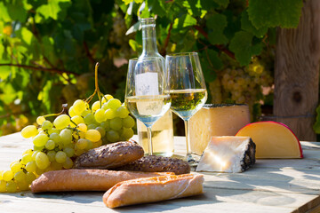 Still life with wine, grapes and cheese at table in vineyards at sunny day