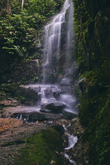 Fototapeta na wymiar Cachoeira das Almas na Floresta da Tijuca