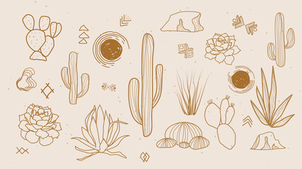 Vector set of desert plants, hand drawn elements for social media and web design 