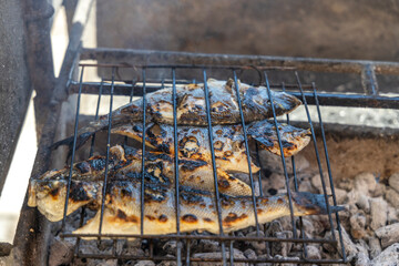 Delicious sea bass and golden fish barbecued on the charcoal