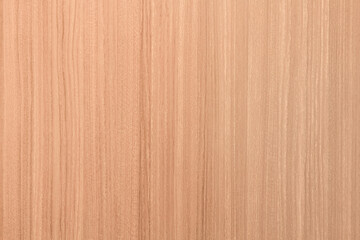Seamless texture wood old oak or modern wood texture