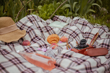 nice picnic on the lion flowers field
