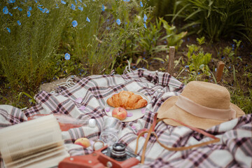 nice picnic on the lion flowers field