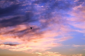Sunset in Saint Petersburg