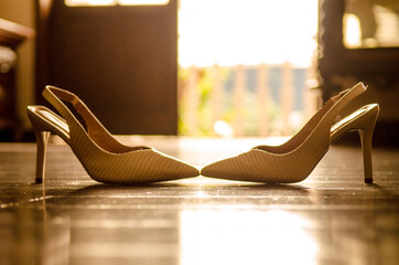 sapatos