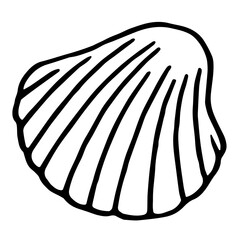 Hand drawn sea scallop in shell. Vector seashell in doodle style isolated on white background. Summer illustration of shellfish for web-design.